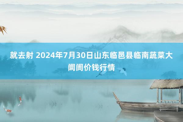 就去射 2024年7月30日山东临邑县临南蔬菜大阛阓价钱行情