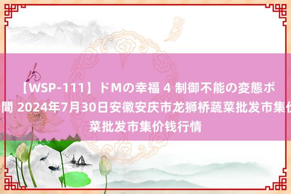 【WSP-111】ドMの幸福 4 制御不能の変態ボディ4時間 2024年7月30日安徽安庆市龙狮桥蔬菜批发市集价钱行情