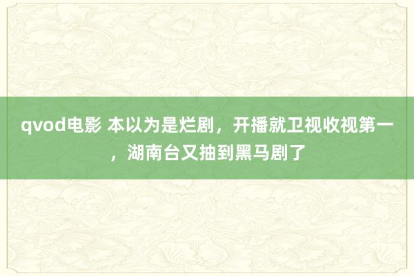 qvod电影 本以为是烂剧，开播就卫视收视第一，湖南台又抽到黑马剧了