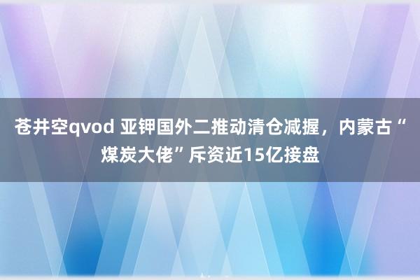 苍井空qvod 亚钾国外二推动清仓减握，内蒙古“煤炭大佬”斥资近15亿接盘