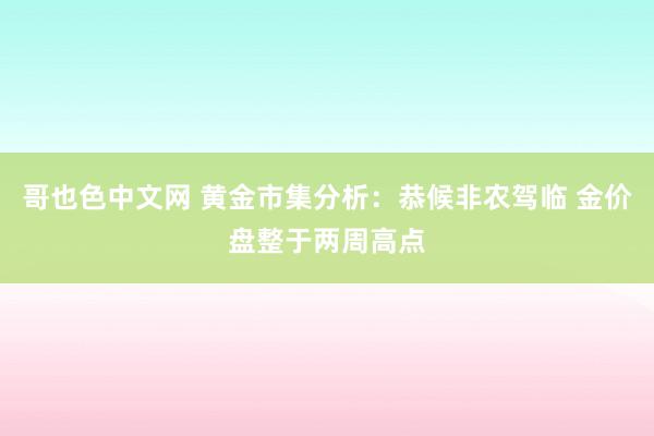 哥也色中文网 黄金市集分析：恭候非农驾临 金价盘整于两周高点