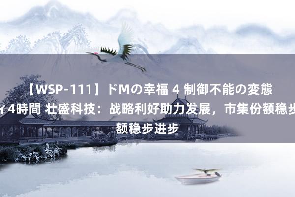 【WSP-111】ドMの幸福 4 制御不能の変態ボディ4時間 壮盛科技：战略利好助力发展，市集份额稳步进步