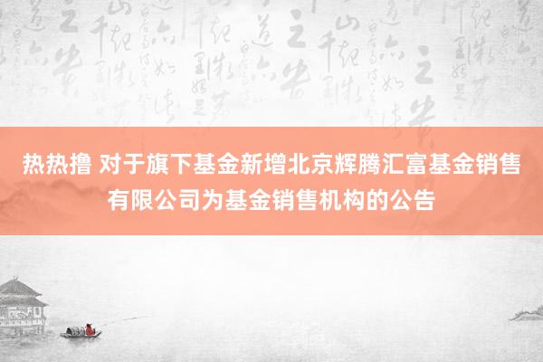 热热撸 对于旗下基金新增北京辉腾汇富基金销售有限公司为基金销售机构的公告