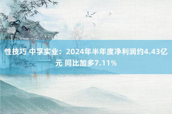 性技巧 中孚实业：2024年半年度净利润约4.43亿元 同比加多7.11%