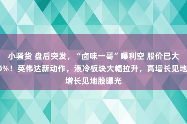 小骚货 盘后突发，“卤味一哥”曝利空 股价已大跌近90%！英伟达新动作，液冷板块大幅拉升，高增长见地股曝光