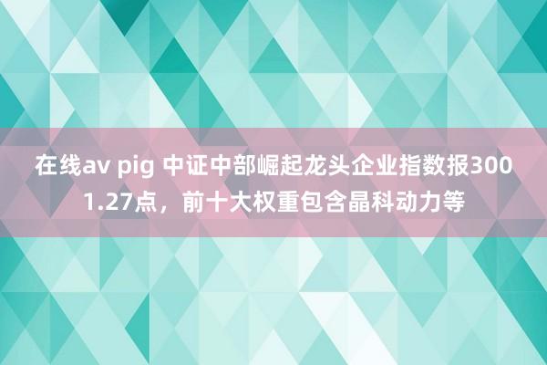 在线av pig 中证中部崛起龙头企业指数报3001.27点，前十大权重包含晶科动力等