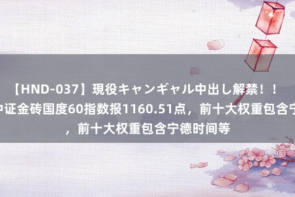 【HND-037】現役キャンギャル中出し解禁！！ ASUKA 中证金砖国度60指数报1160.51点，前十大权重包含宁德时间等