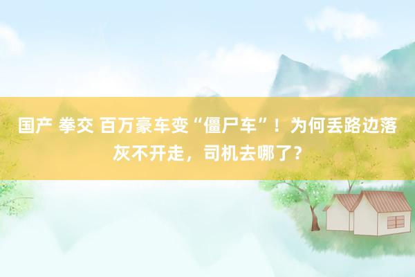 国产 拳交 百万豪车变“僵尸车”！为何丢路边落灰不开走，司机去哪了？