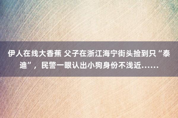 伊人在线大香蕉 父子在浙江海宁街头捡到只“泰迪”，民警一眼认出小狗身份不浅近……