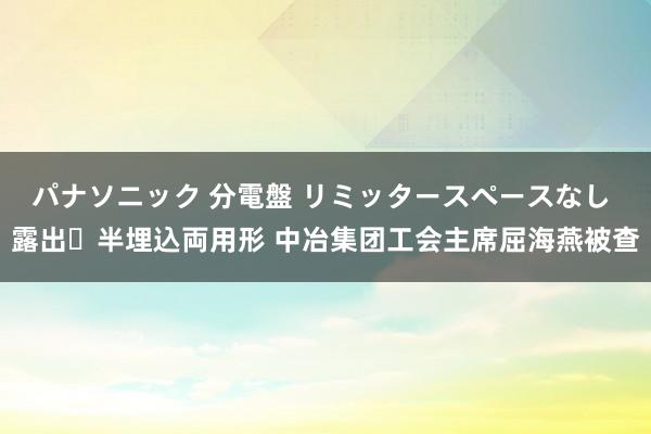 パナソニック 分電盤 リミッタースペースなし 露出・半埋込両用形 中冶集团工会主席屈海燕被查