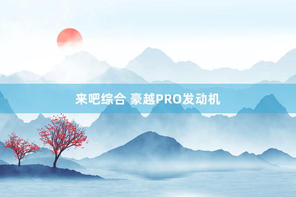 来吧综合 豪越PRO发动机