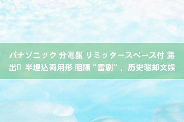 パナソニック 分電盤 リミッタースペース付 露出・半埋込両用形 阻隔“雷剧”，历史谢却文娱