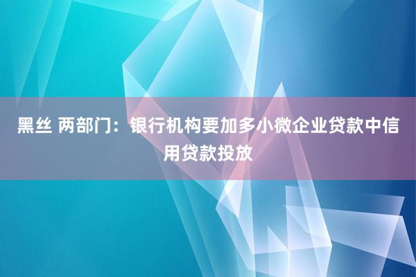 黑丝 两部门：银行机构要加多小微企业贷款中信用贷款投放