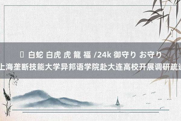 ✨白蛇 白虎 虎 龍 福 /24k 御守り お守り 上海垄断技能大学异邦语学院赴大连高校开展调研疏通