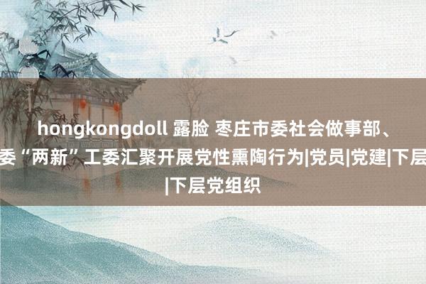 hongkongdoll 露脸 枣庄市委社会做事部、枣庄市委“两新”工委汇聚开展党性熏陶行为|党员|党建|下层党组织